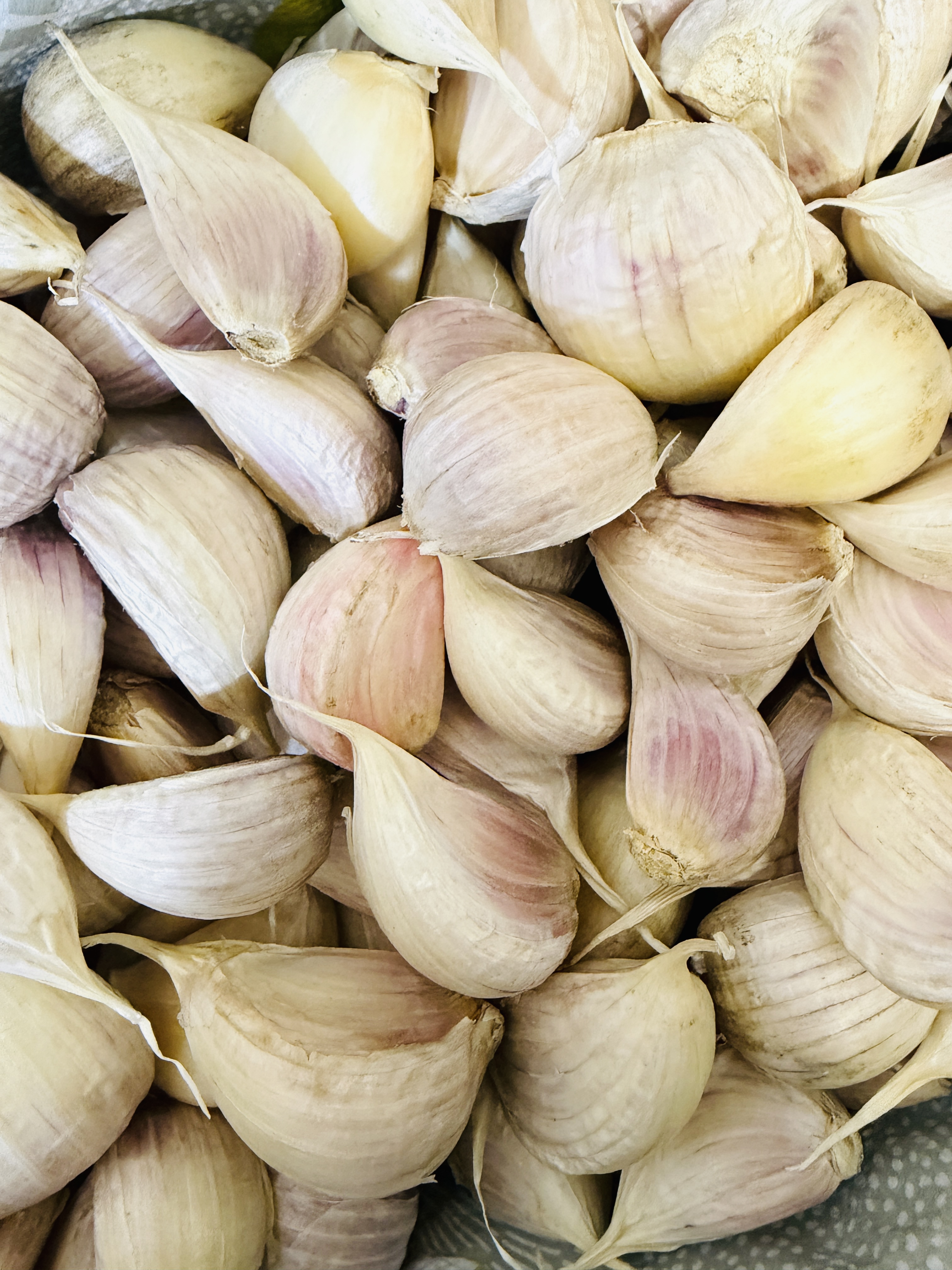 自然栽培・国産にんにくバラ500g