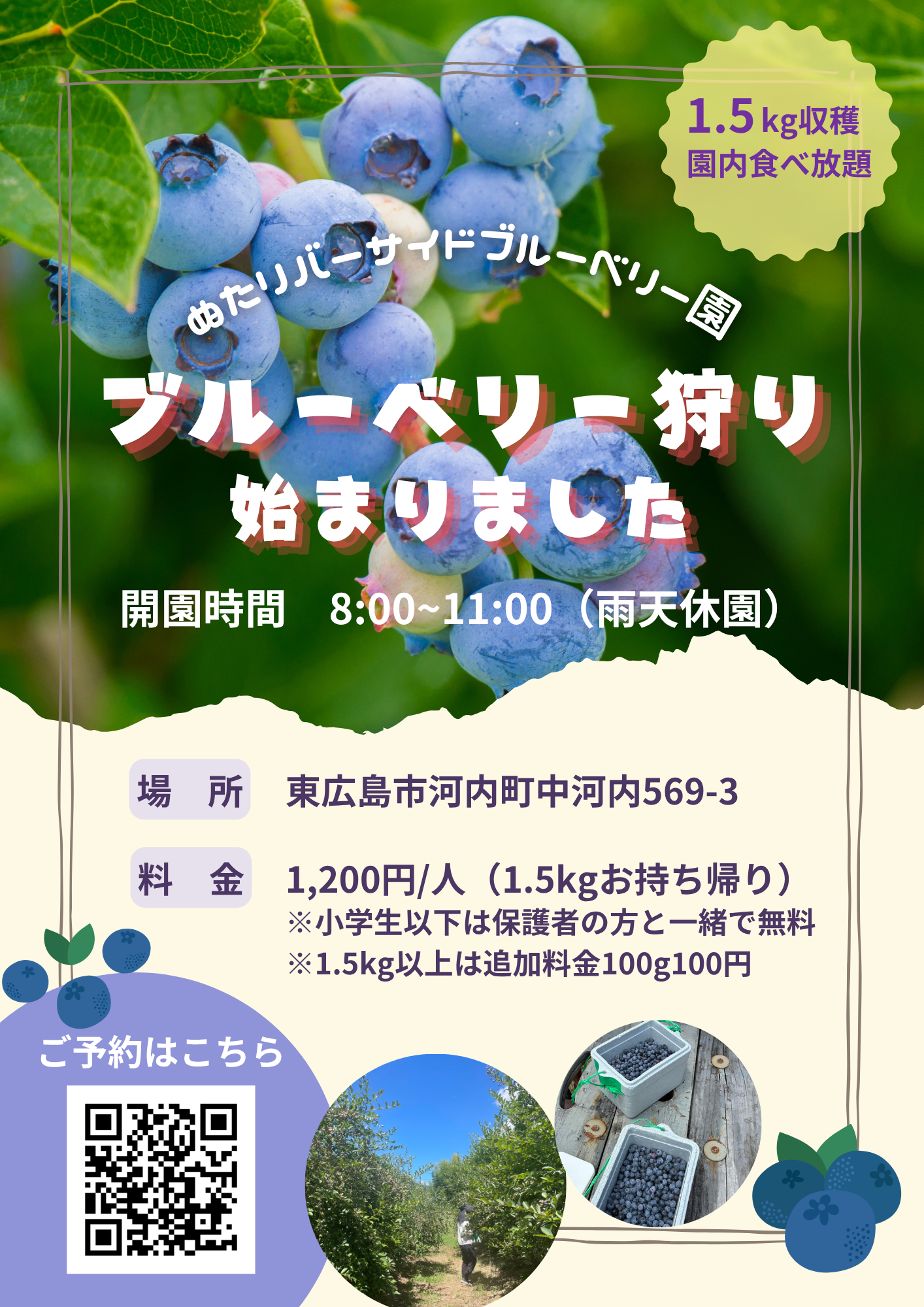 ブルーベリー狩り イベント詳細