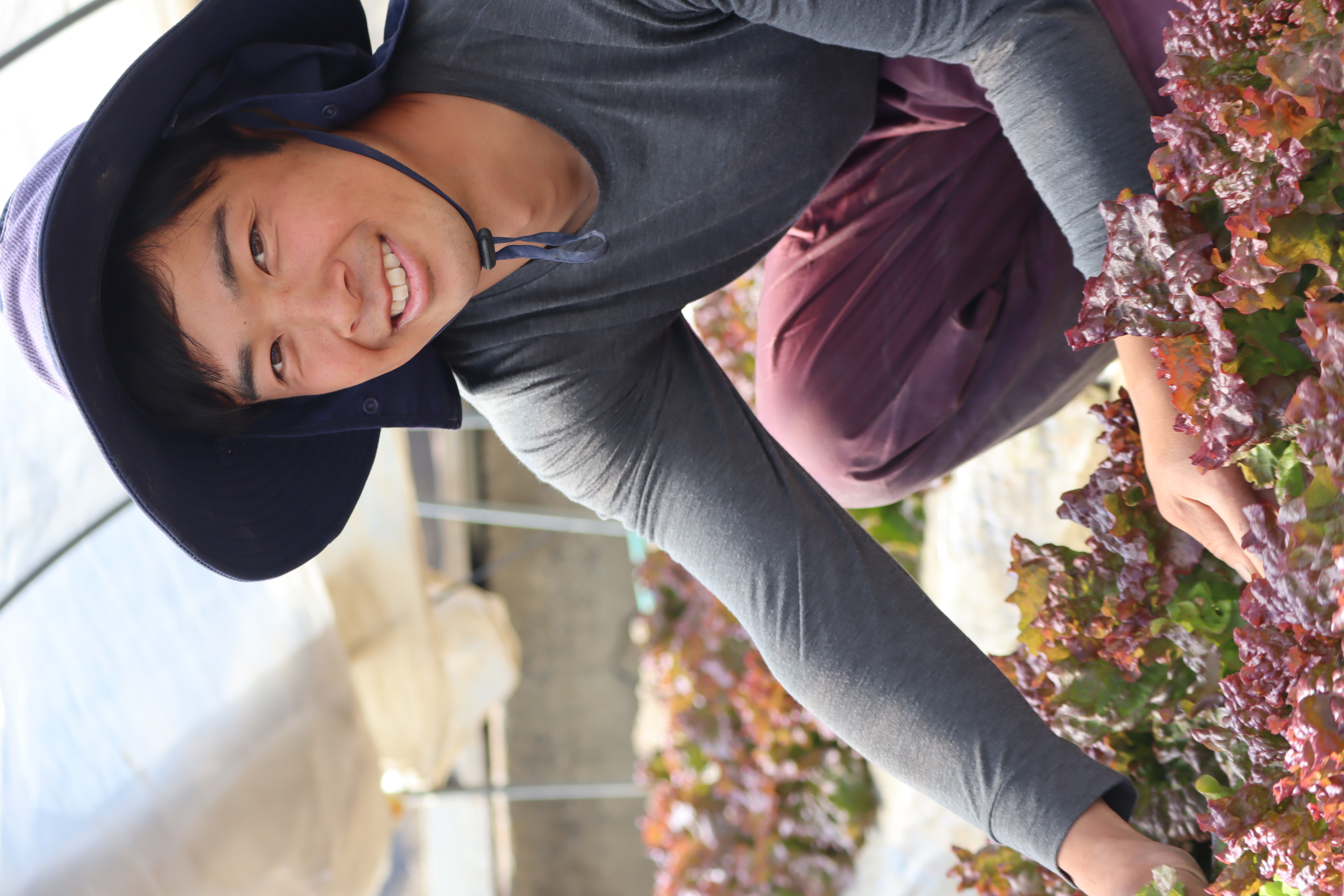 たろちゃん農園